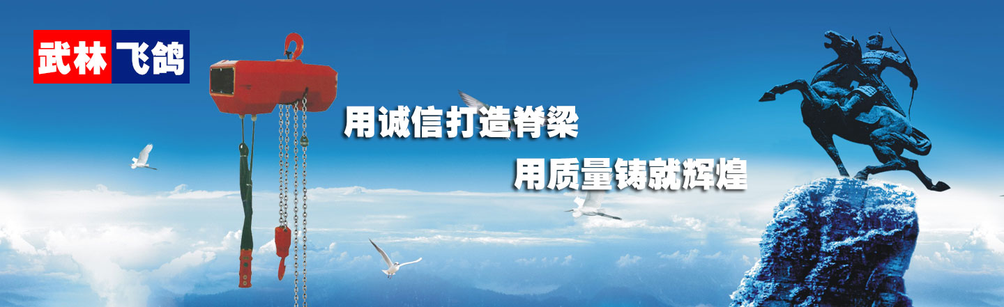 環(huán)鏈電動(dòng)葫蘆